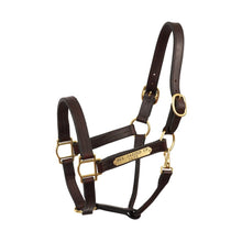 Load image into Gallery viewer, Heavy Duty Havana Leather Track Halter w/snap &amp; plate
