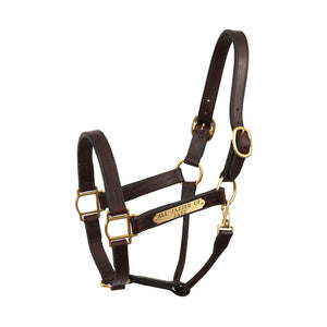 Heavy Duty Havana Leather Track Halter w/snap & plate