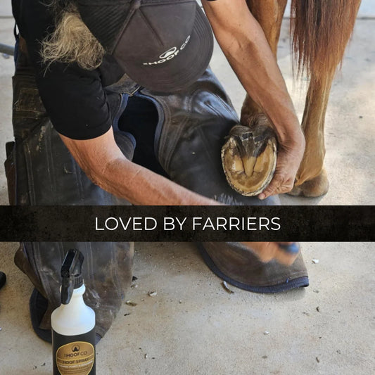 Hoof Spray with Kunzea Oil