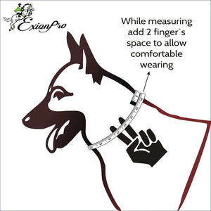 Silver Clincher Padded Leather Dog Collar