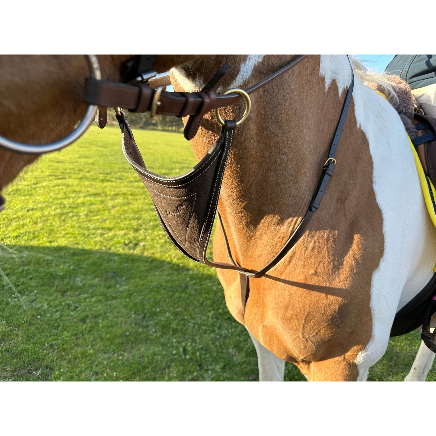 Running Martingale with Soft Leather Bib