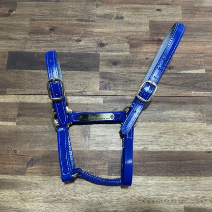 Custom PVC Halter with Engraved Horse Nameplate