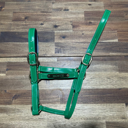 Custom PVC Halter with Engraved Horse Nameplate