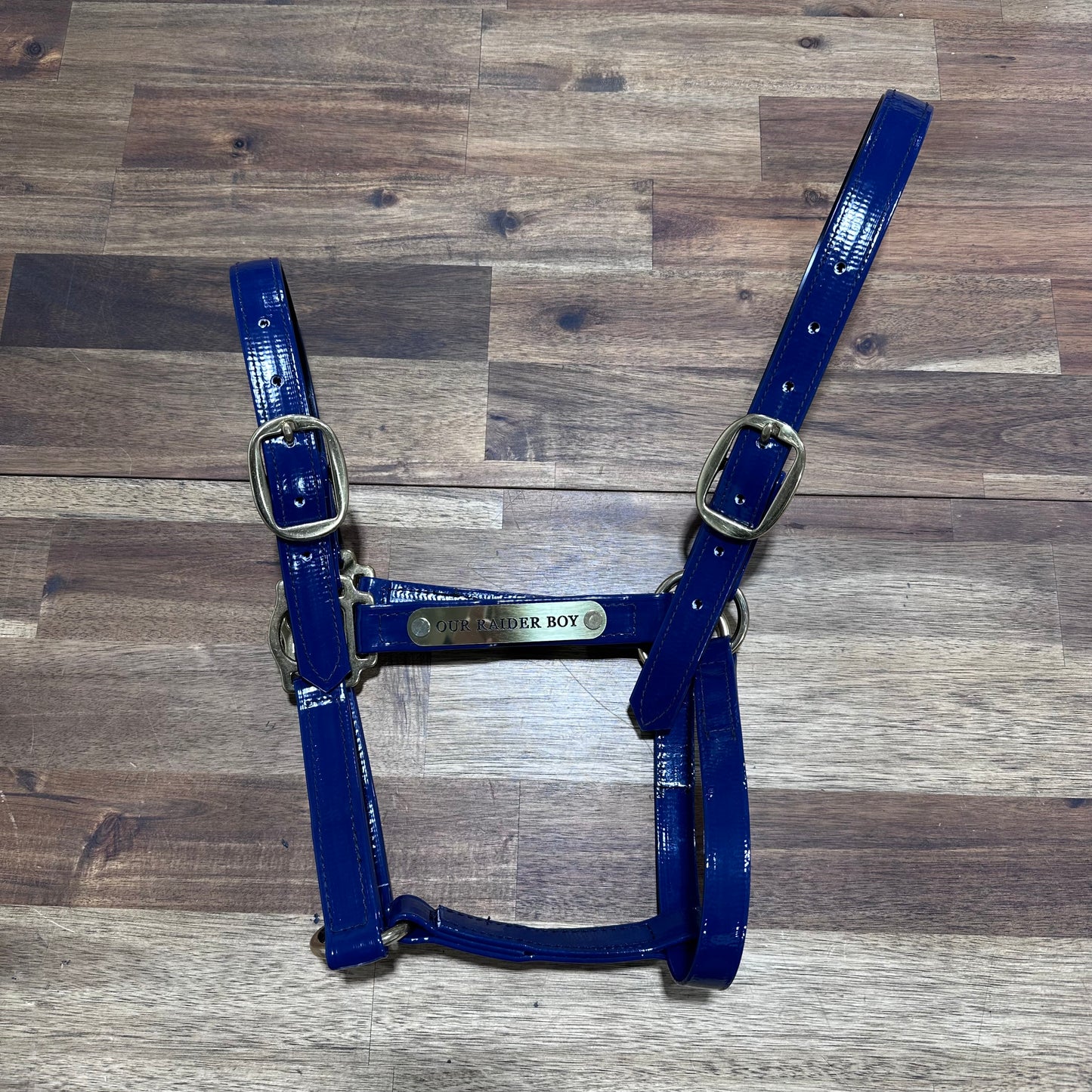 Custom PVC Halter with Engraved Horse Nameplate