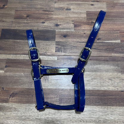 Custom PVC Halter with Engraved Horse Nameplate