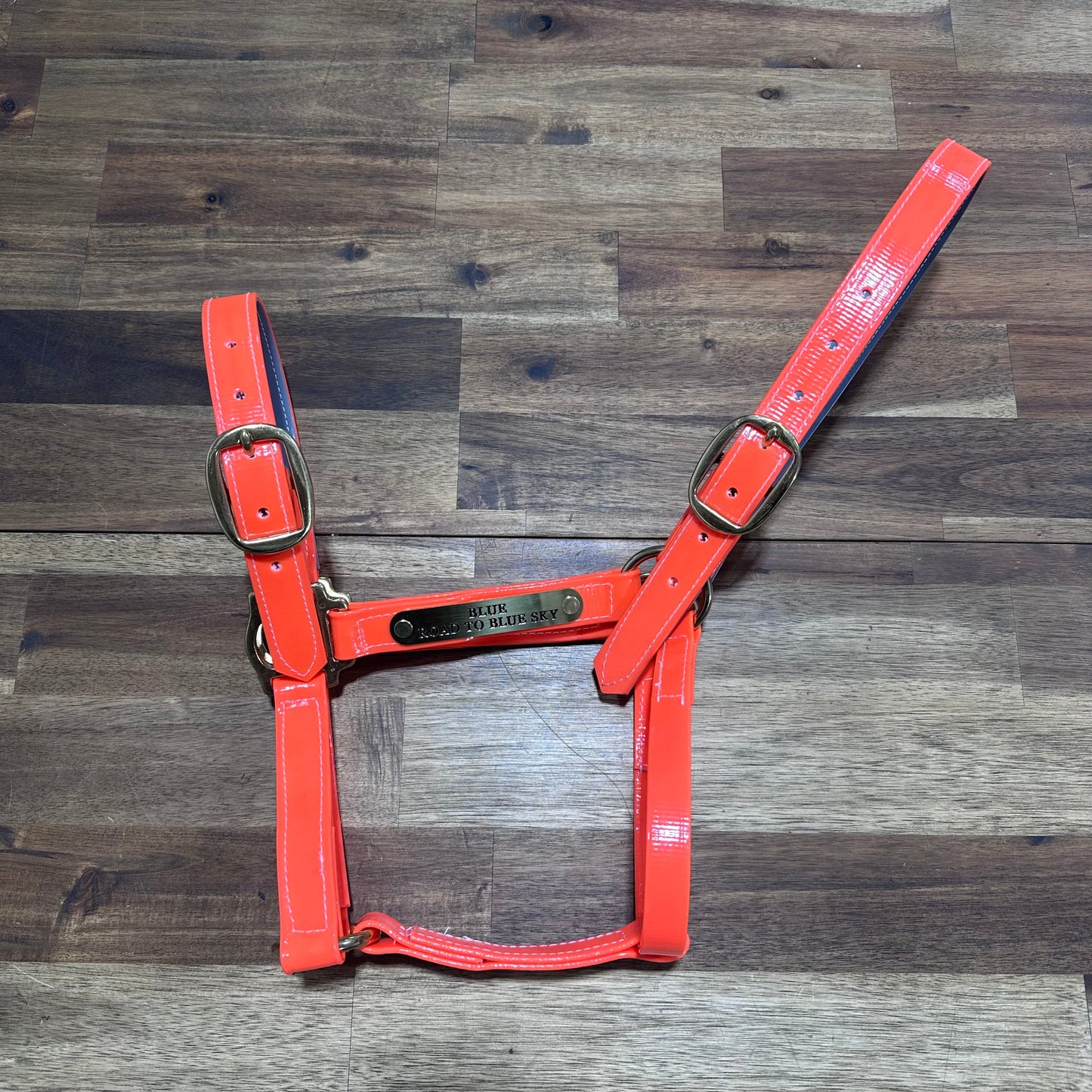 Custom PVC Halter with Engraved Horse Nameplate