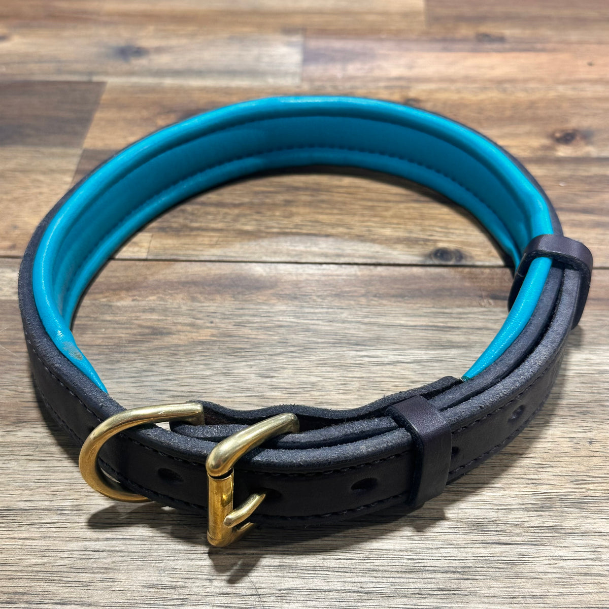 Havana/Turquoise Padded Leather Dog Collar - XL Size
