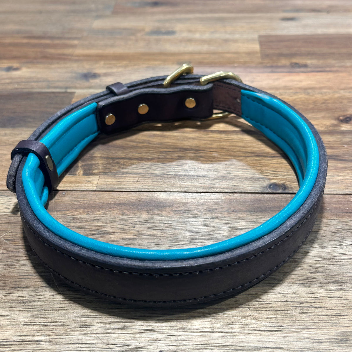 Havana/Turquoise Padded Leather Dog Collar - XL Size