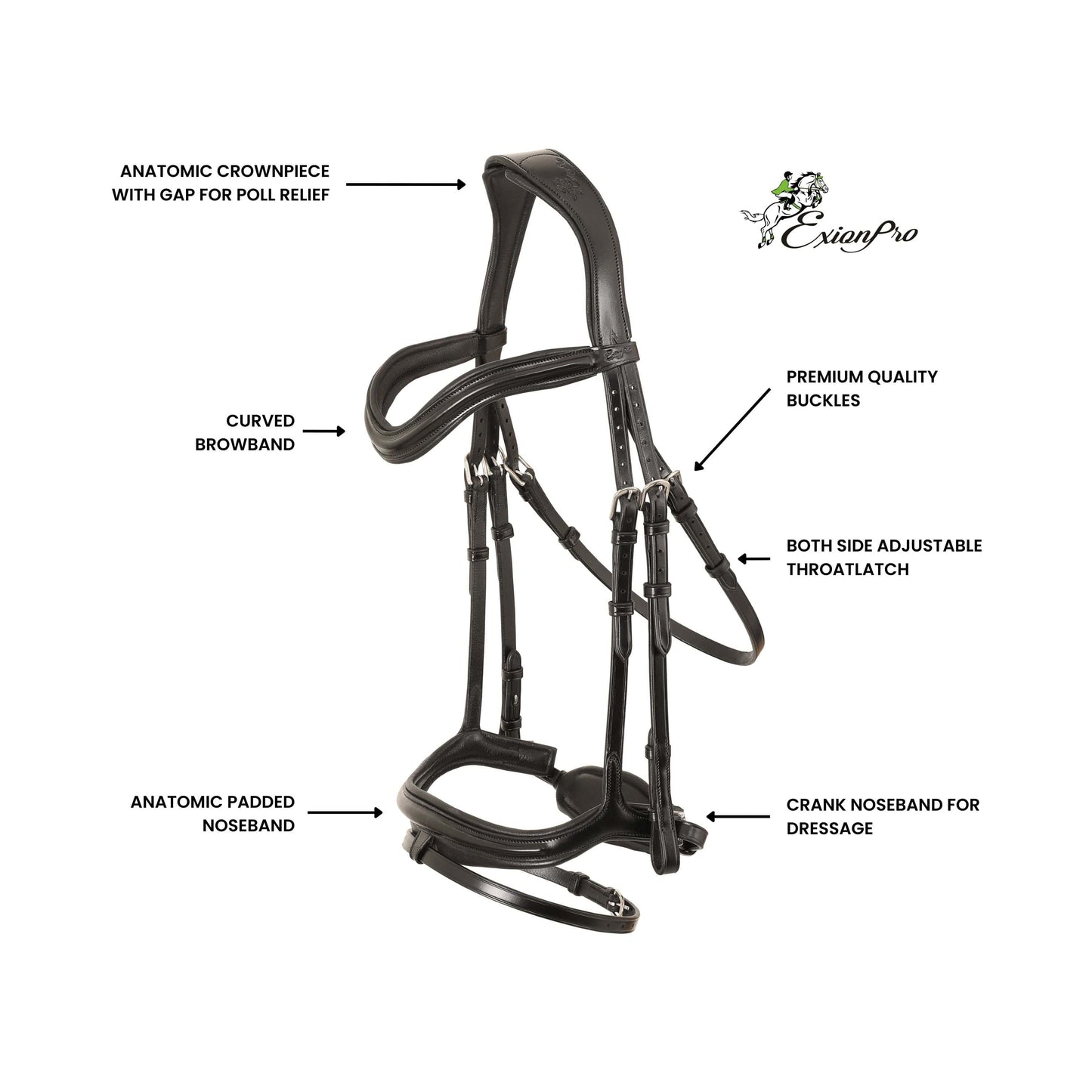 Ursa Anatomic Dressage Bridle