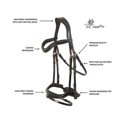 Ursa Anatomic Dressage Bridle