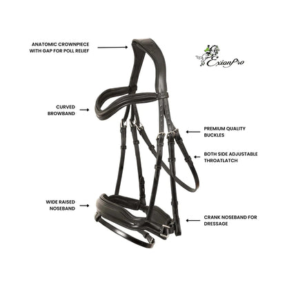 Leo Classic Hanoverian Dressage Bridle