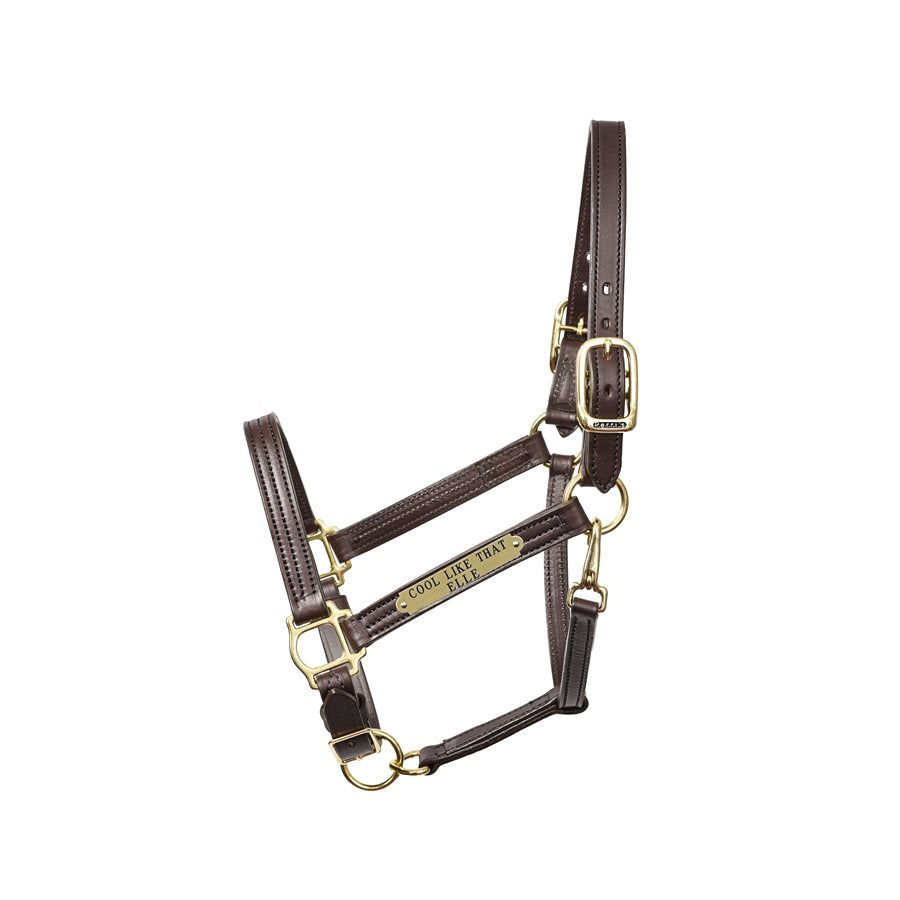1" Leather Turnout Halter w/plate