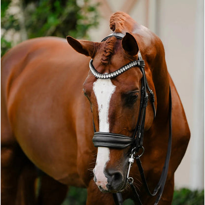 Diva (Double) (No reins)