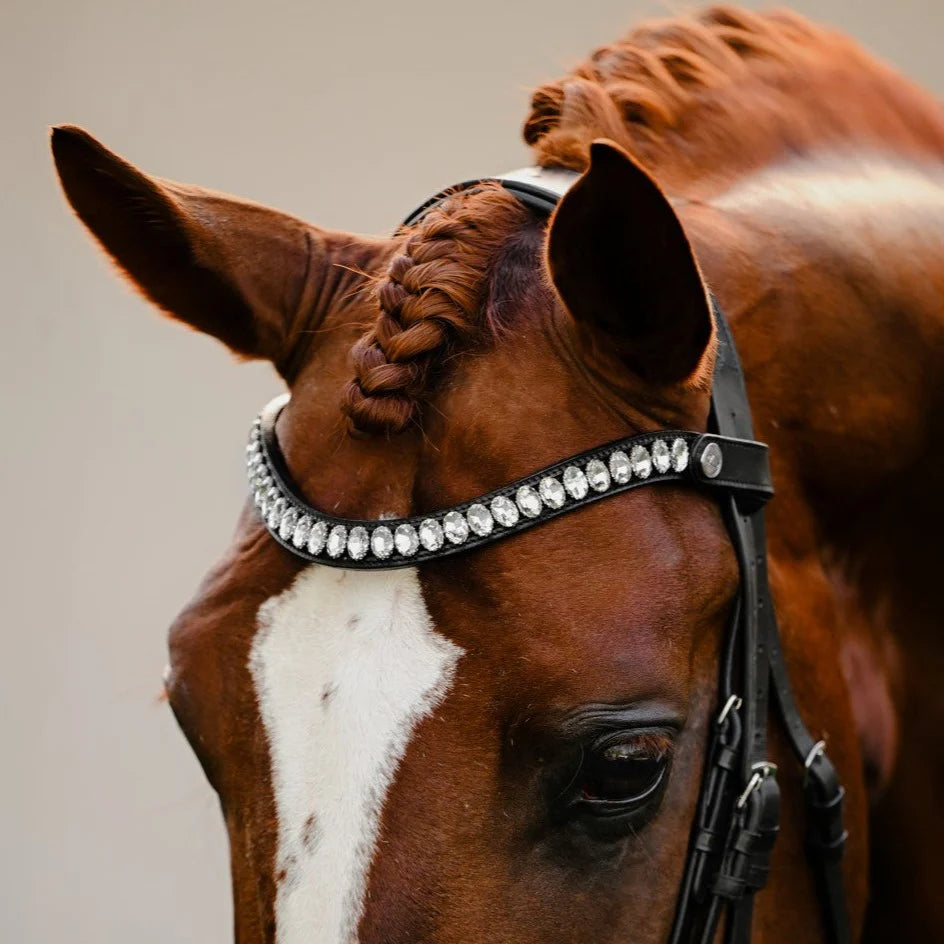 Diva Bridle (Cavesson) (No reins)