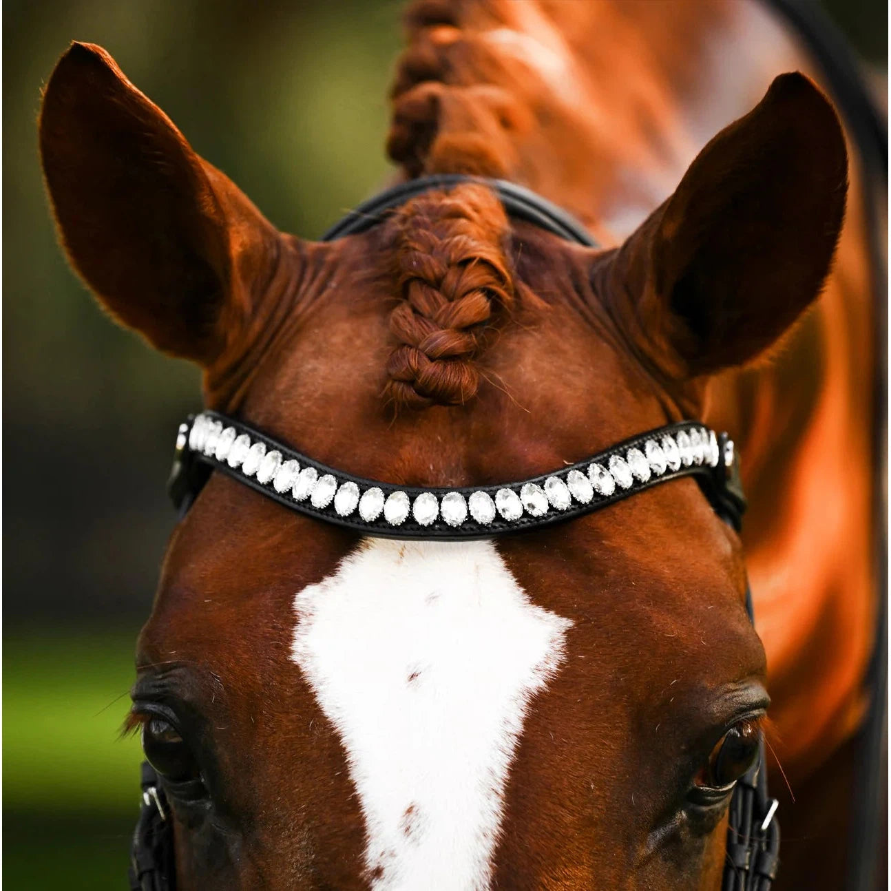 Diva Bridle (Cavesson) (No reins)