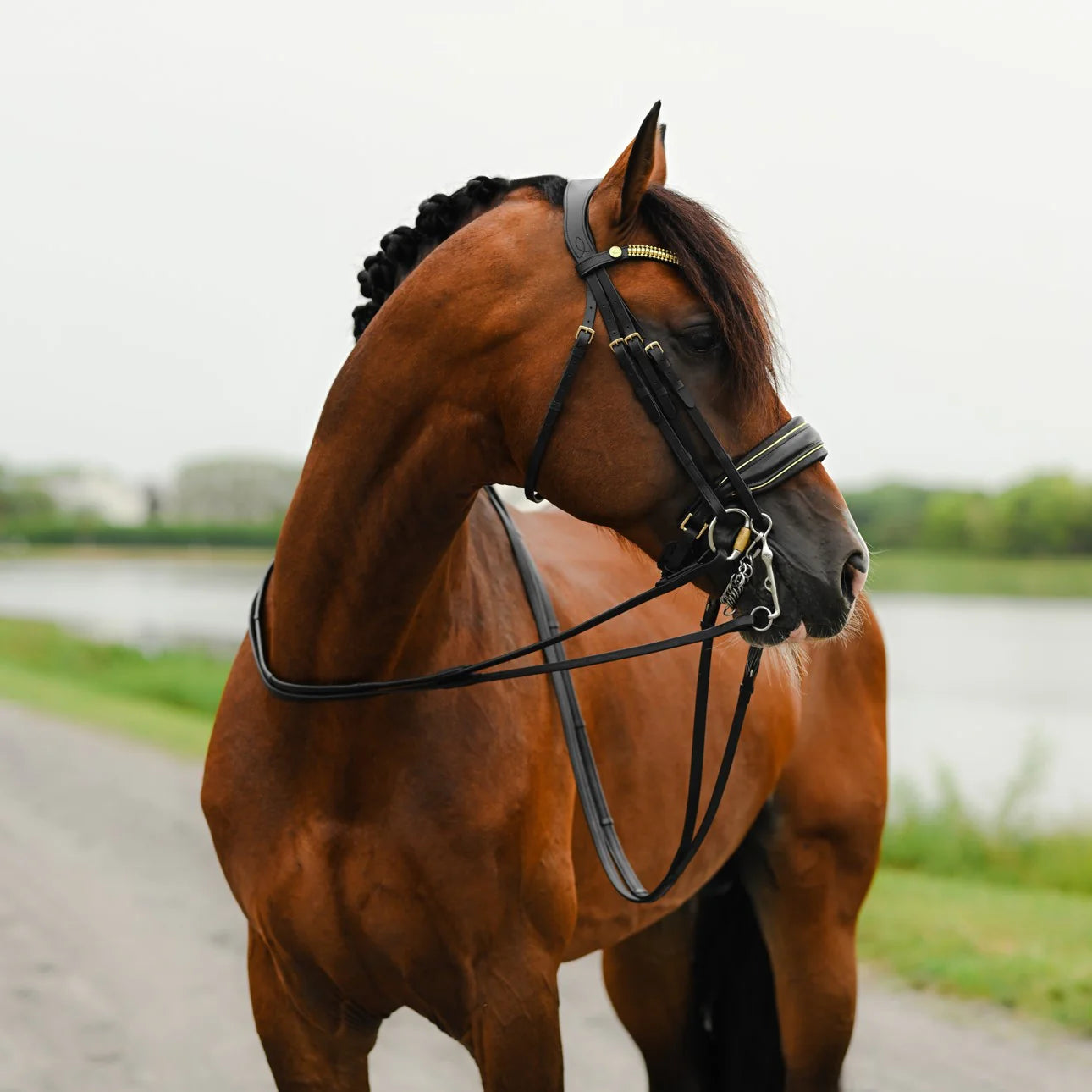 Delta (Double) (No reins)