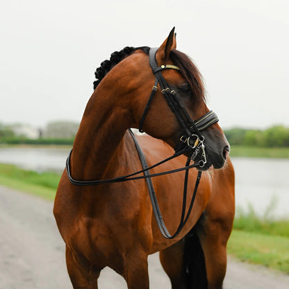 Delta (Double) (No reins)