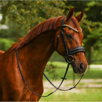Delta Bridle (Cavesson) (No reins)