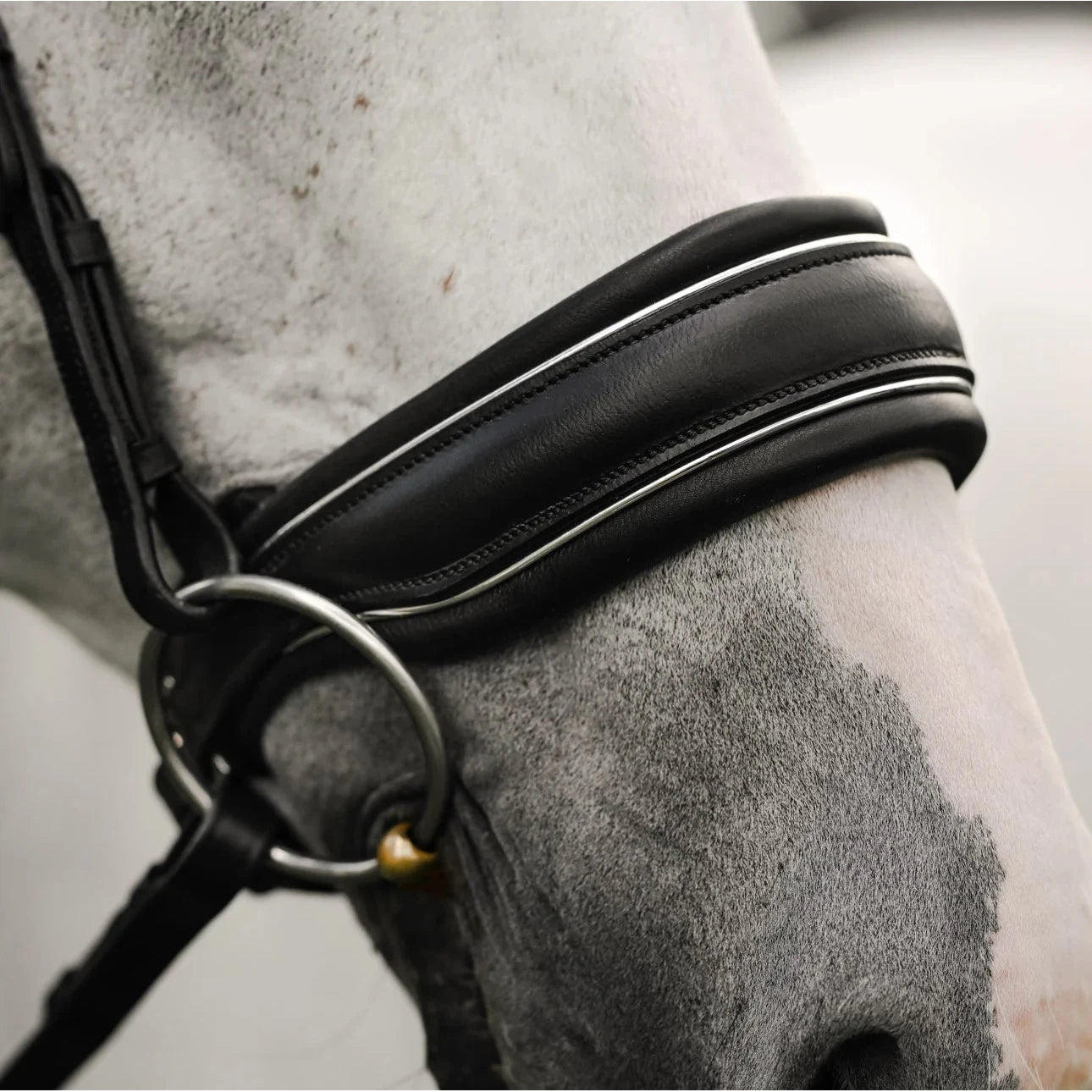 Diva Bridle (Cavesson) (No reins)