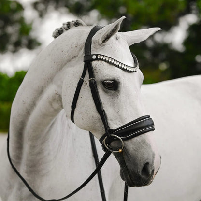 Diva Bridle (Cavesson) (No reins)