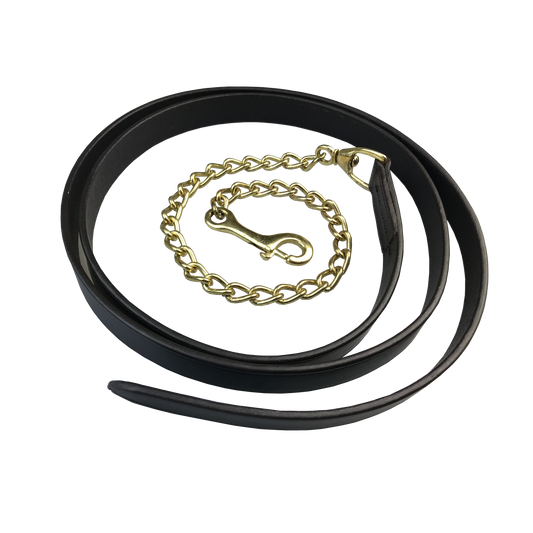 Leather Lead Chain with Brass or Silver Fittings