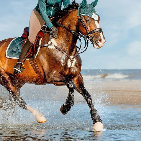 Antiqua 5 Point Breastplate - Black/Cob