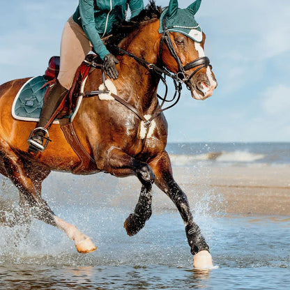 Antiqua 5 Point Breastplate - Black/Cob