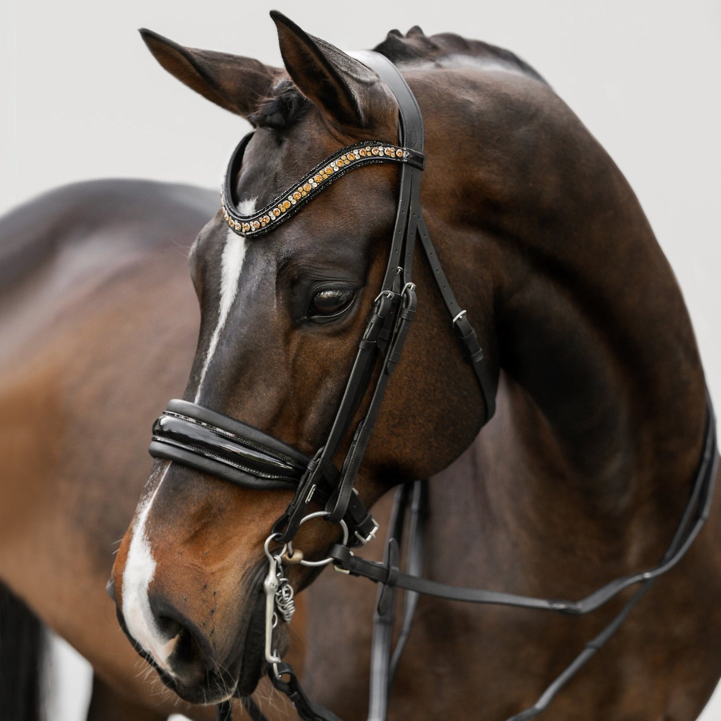Ariana Bridle (Double) (No reins)