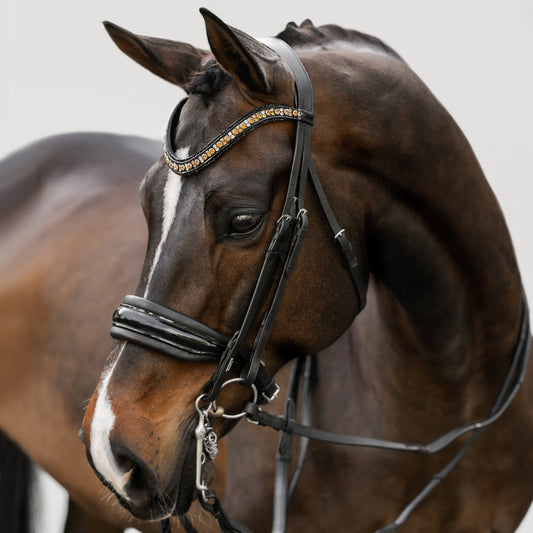 Ariana Bridle (Double) (No reins)