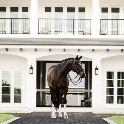 Ariana Bridle (Double) (No reins)