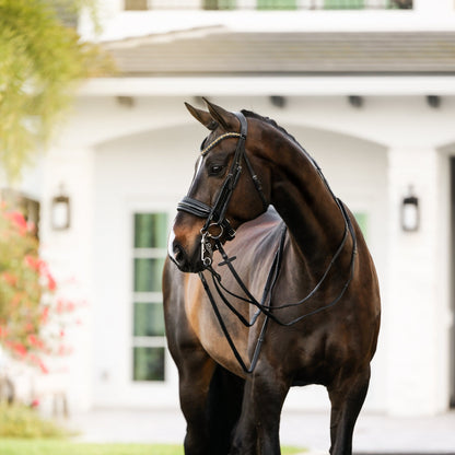 Ariana Bridle (Double) (No reins)