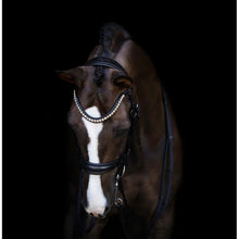 Load image into Gallery viewer, Athens Crystal Browband