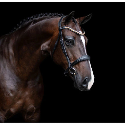 Athens Leather Bridle (No reins)