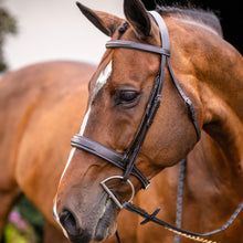 Load image into Gallery viewer, Classic Hunter Bridle
