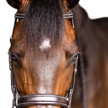 Load image into Gallery viewer, Classic Hunter Bridle