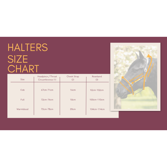 Bella Leather Halter