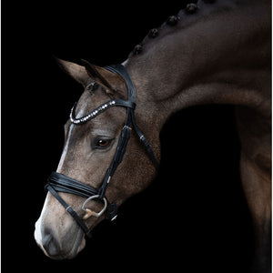 Mercury Bridle