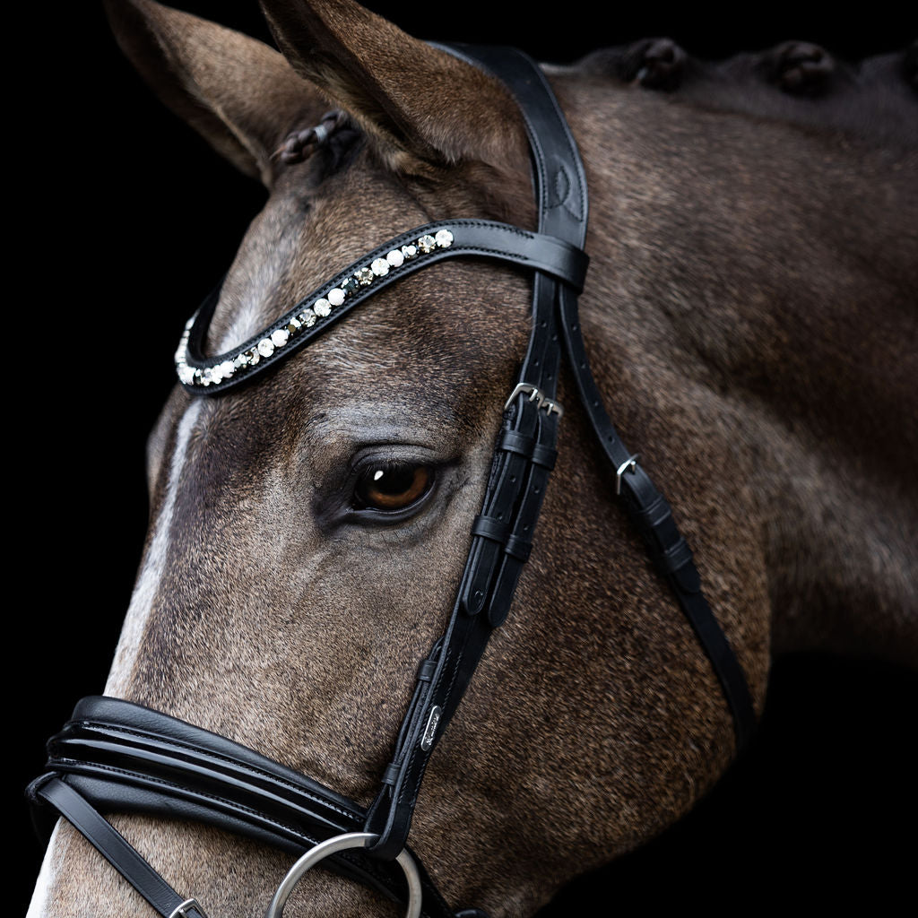Mercury Browband