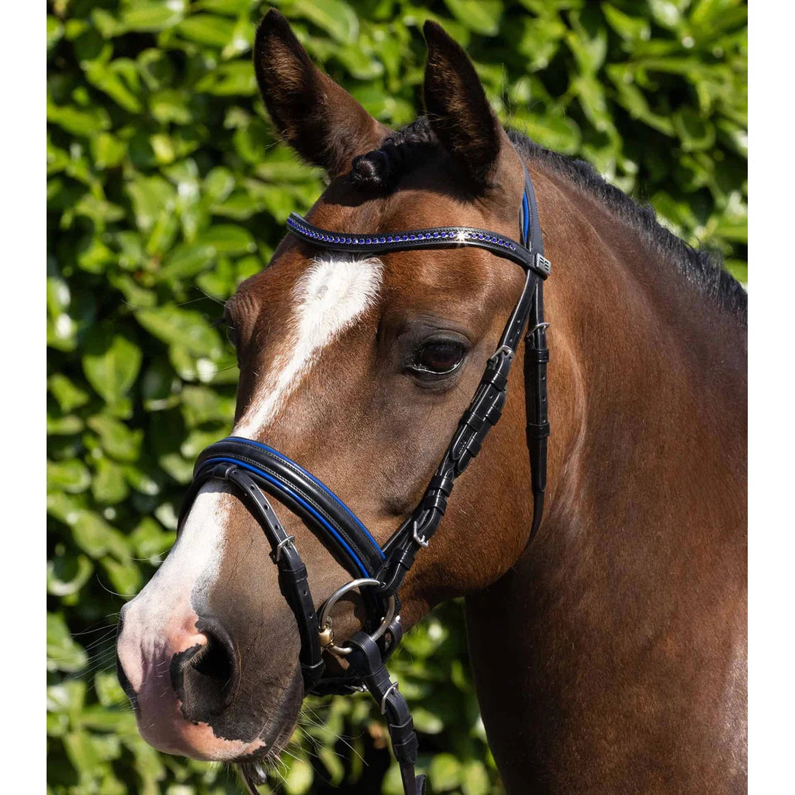 Mineo Pony Snaffle Bridle Black (No reins)