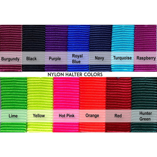 Premium Nylon Safety Halter w/plate