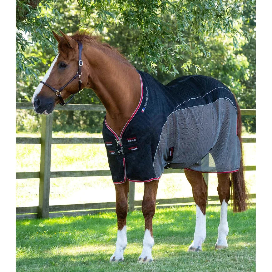 Sports Cooler Rug
