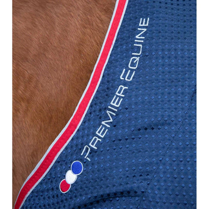 Sports Cooler Rug