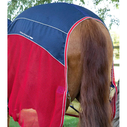Sports Cooler Rug