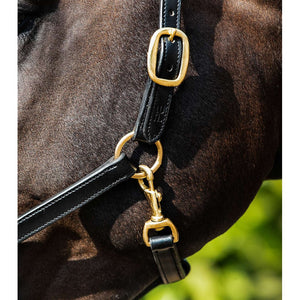 Rego Padded Leather Head Collar