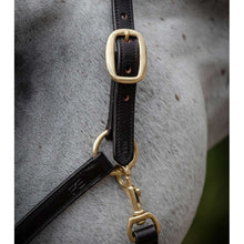 Load image into Gallery viewer, Rego Padded Leather Head Collar