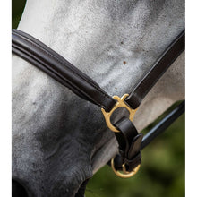 Load image into Gallery viewer, Rego Padded Leather Head Collar