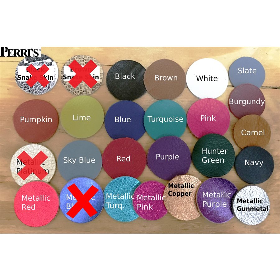 Custom Padded Leather Dog Collar w/plate