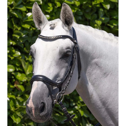 Palazzo Anatomical Bridle (No reins)