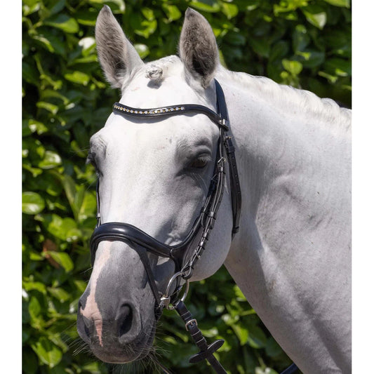 Palazzo Anatomical Bridle (No reins)