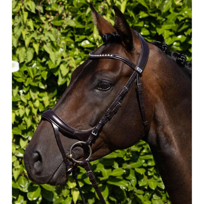 Palazzo Anatomical Bridle (No reins)